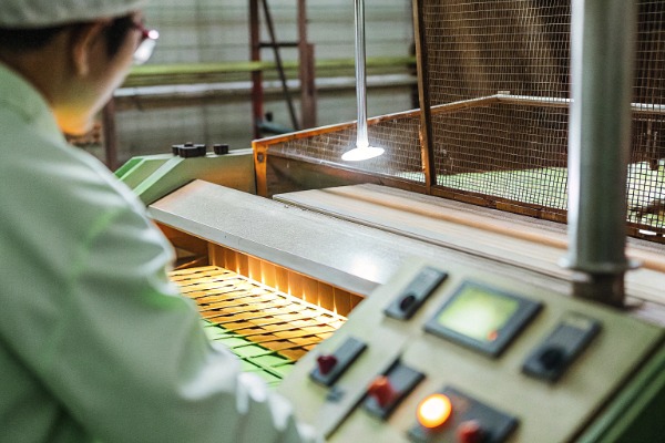 Quality control Worker inspecting quality control on production line (ID#3)