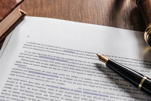 Bolígrafo sobre documento Pluma estilográfica sobre documento impreso con texto (ID#3)